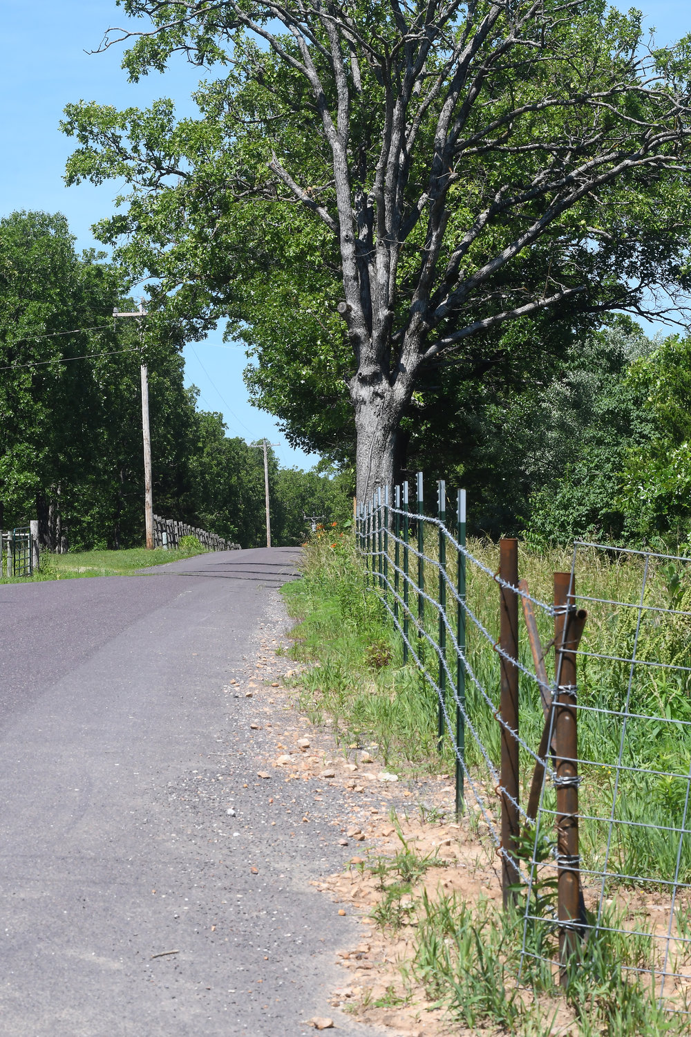 Gasconade County Commissioners intend to have this five-strand barbed-wire fence at the intersection of South Fourth and Price Road removed by county employees if the owners do not remove it themselves. County officials say it was installed on county right-of-way.